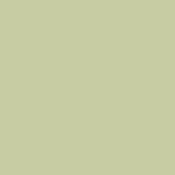 Oracal 631 Matte Removable Vinyl Celadon 494