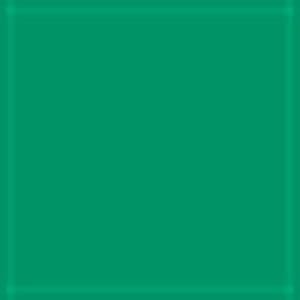 Oracal 631 Matte Removable Vinyl Green 061