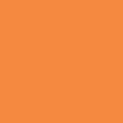 Oracal 631 Matte Removable Vinyl Light Orange 036