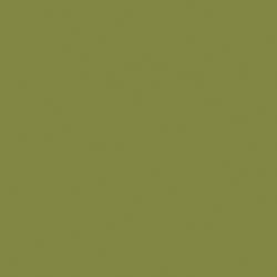 Oracal 631 Matte Removable Vinyl Olive 493