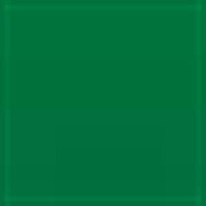 Oracal 651 Vinyl Intermediate Cal Grass Green 068