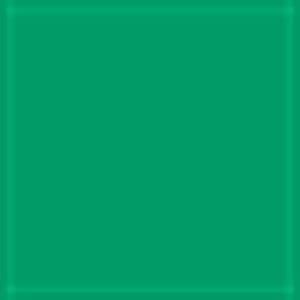 Oracal 651 Vinyl Intermediate Cal Light Green 062